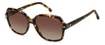 R9LA - WR9LA BRW HAVAN / LA BROWN SHADED POLARIZED