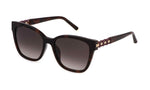 0752 - SHINY DARK HAVANA / 