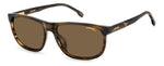 X4SP - EX4SP BRW HORN B / SP BRONZE POLARIZED