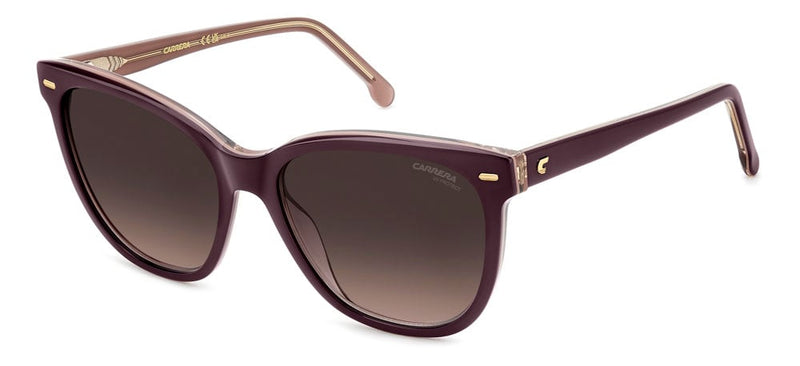 T7HA - 0T7HA PLUM / HA BROWN SHADED