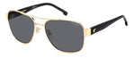 HLM9 - RHLM9 GOLD BLCK_ / M9 GREY POLARIZED