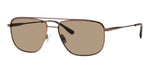 UISP - TUISP LT BROWN L / SP BROWN POLARIZED
