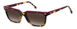FXLA - MFXLA HVNA PLUM / LA BROWN SHADED POLARIZED