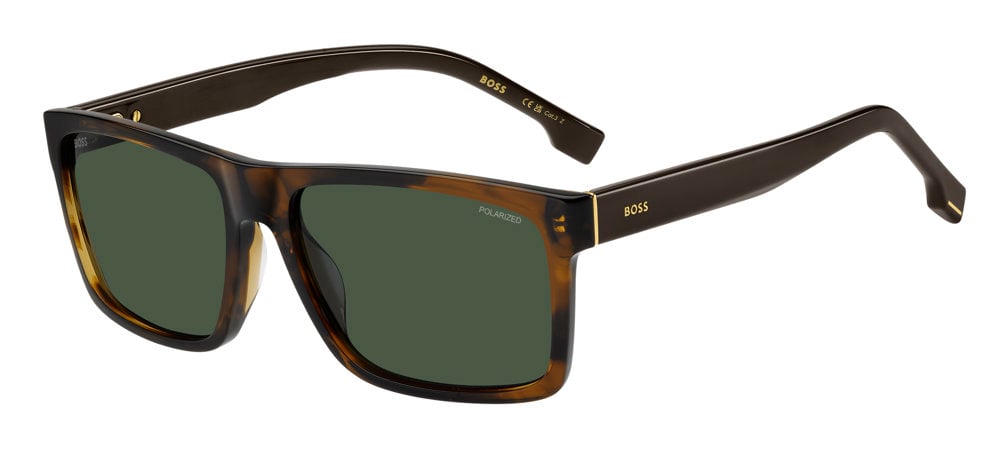X4UC - EX4UC BRW HORN B / UC GREEN POLARIZED