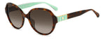 HWLA - PHWLA HAVGREEN H / LA BROWN SHADED POLARIZED