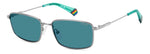 LBC3 - 6LBC3 RUTHENIUM / C3 BLUE POLARIZED
