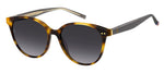 5LDG - 05LDG HAVANA / DG VIOLET SHADED