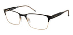 HL G - RHL GOLD BLCK / 