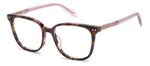 9Q B - 09Q BROWN