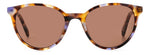JP70 - 1JP70 VLT BL HVN / 70 BROWN