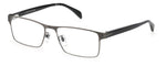 81 D - V81 DKRUT BLK / 