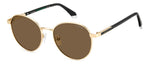 OZSP - AOZSP MT GD / SP BROWN POLARIZED