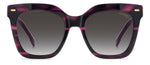 FF9O - 7FF9O VLT HRN / 9O DARK GREY SHADED