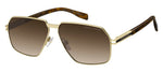 SOHA - 8SOHA MT GD HVN / HA BROWN SHADED