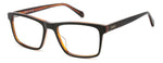9Q B - 09Q BROWN / 