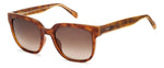 X7HA - SX7HA LT HAVANA / HA BROWN SHADED
