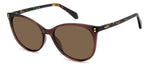 9QSP - 09QSP BROWN / SP BROWN POLARIZED