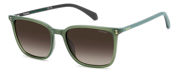 EDLA - 1EDLA GREEN / LA BROWN SHADED POLARIZED