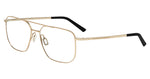 D000 - GOLD/BLACK / 