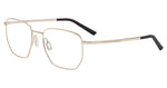 D000 - GOLD/BLACK / 