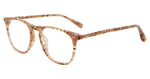BEIG - BEIGE CORAL TORT / Other