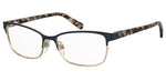 Y2 B - KY2 BLUE GOLD / 