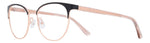 M299 - 2M299 BLK GOLD B / 99 TRANSPARENT