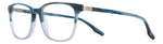 VE B - HVE BL HRN GRY / 