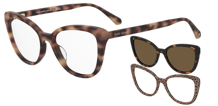 R9SP - WR9SP BRW HAVAN / SP BROWN POLARIZED