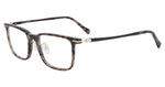 0OLI - OLIVE HAVANA / 