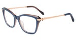 0D25 - BLUE W TRANSP BROWN / 