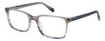W8 G - 2W8 GREY HORN / 