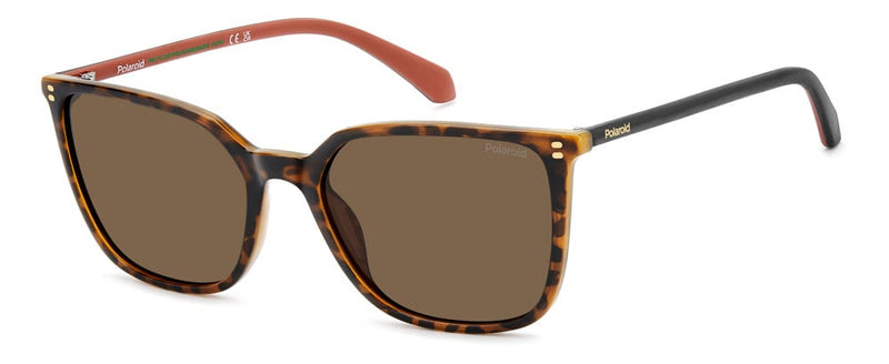 86SP - 086SP HVN / SP BROWN POLARIZED
