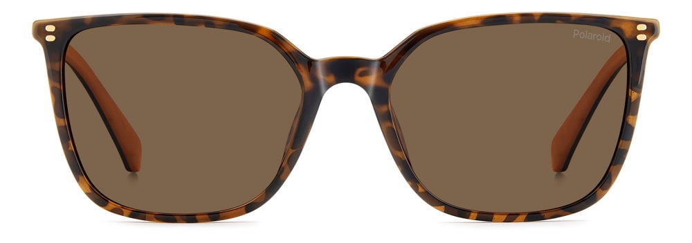86SP - 086SP HVN / SP BROWN POLARIZED