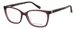 HF B - LHF BURGUNDY / 