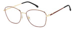 OA G - NOA GOLD BRGN / 