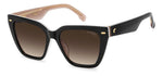 DXHA - KDXHA BLACKNUDE / HA BROWN SHADED