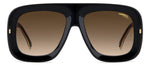 M2HA - 2M2HA BLK GOLD B / HA BROWN SHADED