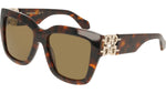 219 - BROWN TORTOISE / 