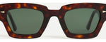 Light Turtle - Light Turtle / G15