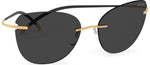 7620 - Gold / 65