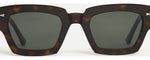 Dark Turtle - Dark Turtle / G15
