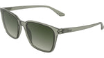 302 - TRANSPARENT SAGE / 