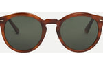 Orange Turtle - Orange Turtle / G15