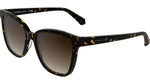 242 - DARK TORTOISE / 