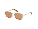 33E - Shiny Pale Gold / Shiny Pale Gold / brown