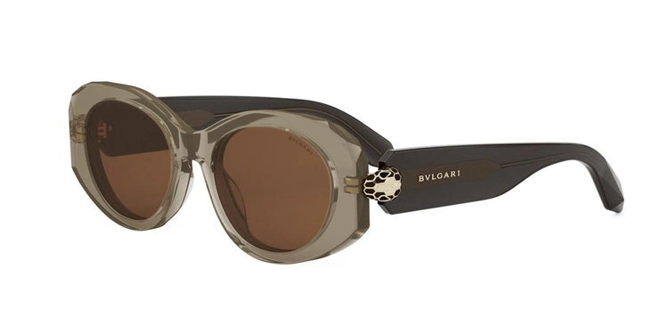 48E - Acetate Shiny Brown / Brown