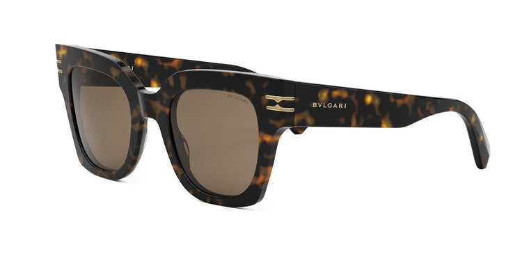 52E - Acetate Shiny Dark Havana / Brown
