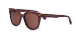 69E - Acetate Shiny Red with Brown Normal lenses / 