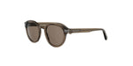 48E - Acetate Shiny Brown with Brown Normal lenses